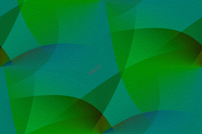 Opera 221